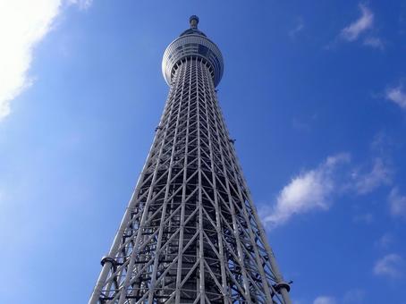 スカイツリーの写真