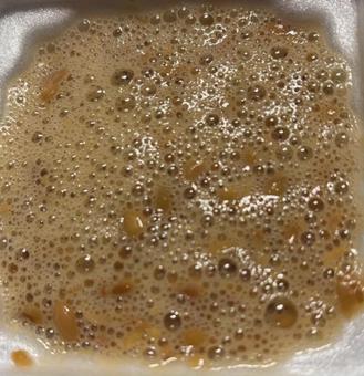 R7.06.20 たまご醤油だれ納豆 R7.06.20 たまご醤油だれ納豆 納豆,たまご醤油だれ納豆,ネバネバの写真素材