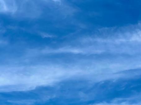 雲の波打つ青空  雲の波打つ青空 の写真