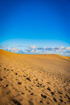 鳥取県　鳥取砂丘の風景 鳥取砂丘,日本の風景,自然の写真素材
