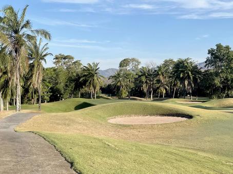 タイのゴルフ場のヤシの木とバンカー ゴルフ,ゴルフ場,空の写真素材