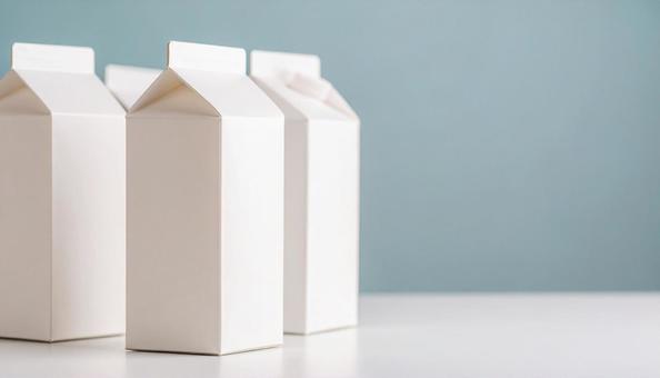 白い紙パック 白い紙パックの写真