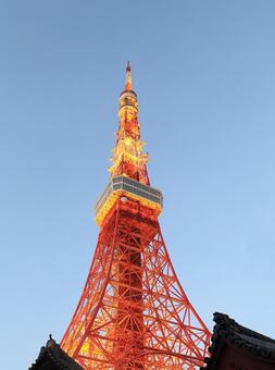 東京タワー 東京タワーの写真