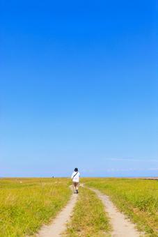 青空の下、まっすぐに伸びる道 青空の下、まっすぐに伸びる道の写真