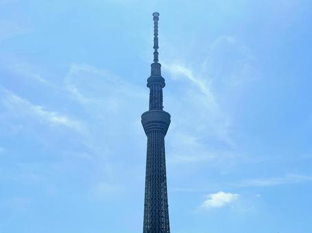 青空に映えるスカイツリー 青空に映えるスカイツリーの写真