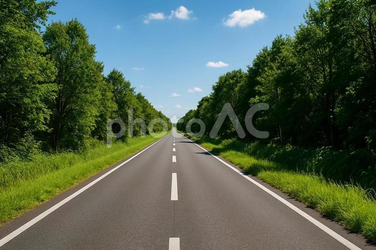 まっすぐ続く森林の道・ドライブ・静かな道 森林の道,まっすぐな道,ドライブの写真素材