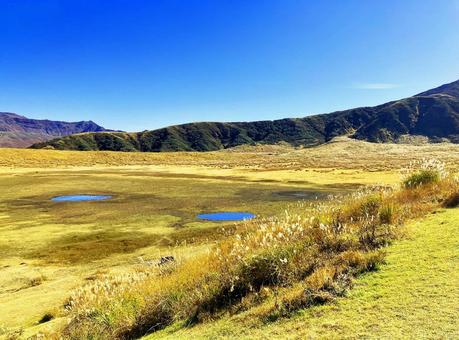 熊本の阿蘇山　草千里ヶ浜 草千里ヶ浜,草千里,阿蘇の写真素材