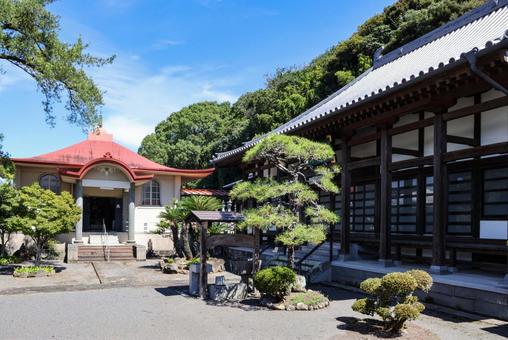 永渓山泰智寺 永渓山泰智寺 寺院,寺,本堂の写真素材