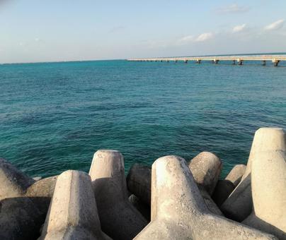 Photo, sea, tetrapod, okinawa, 