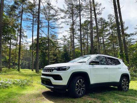 車と森林 suv,車,自動車の写真素材