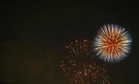 花火④ 花火④の写真