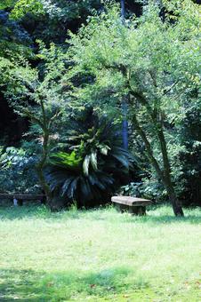 公園のベンチ 公園のベンチの写真