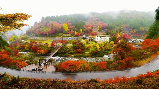 美しい大井平公園の紅葉風景 大井平公園,紅葉,秋の写真素材