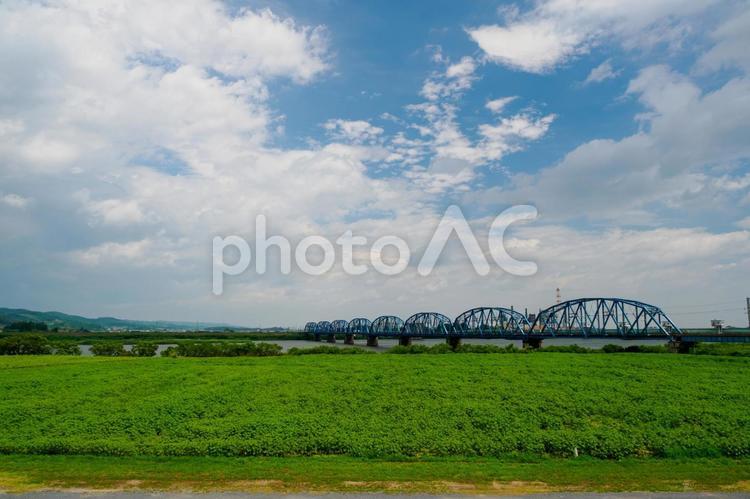 河川敷の風景⑴ 河川敷,川,緑の写真素材