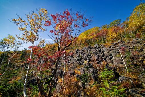 千畳くずれと紅葉 千畳くずれと紅葉 千畳くずれ,紅葉,然別の写真素材