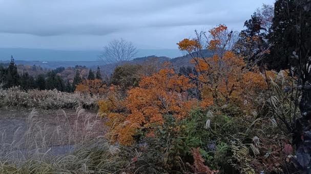 魚沼スカイラインの紅葉 魚沼スカイライン,紅葉,護国観音苑の写真素材