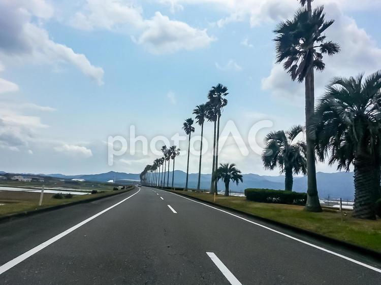 宮崎空港へ続く直線道路 宮崎県,宮崎市,道路の写真素材