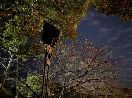 ソーラーパネルの付いた外灯の写真