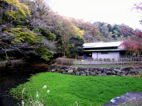 秋の鎌倉中央公園、下池とお手洗い風景 建物,お手洗い,トイレの写真素材