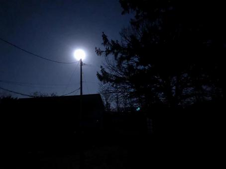月夜 月夜 月,空,夜の写真素材