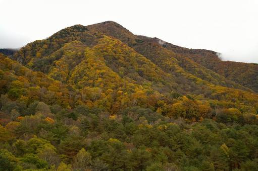 志賀高原晩秋の紅葉の写真