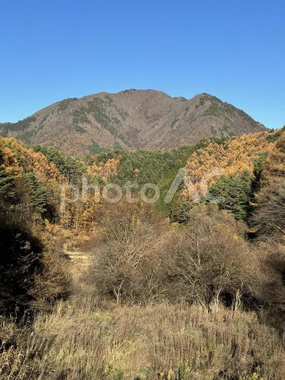 晩秋の三才山（戸谷峰） 三才山,戸谷峰,晩秋の写真素材