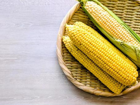 採れたての夏野菜(とうもろこし)1 採れたての夏野菜(とうもろこし)1 夏,夏野菜,とうもろこしの写真素材