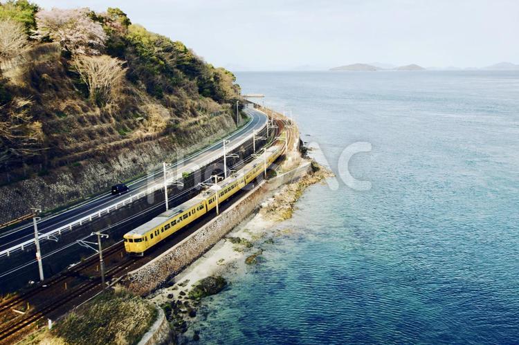 春の海岸線カーブを走るレトロな列車 列車,レトロな列車,jrの写真素材