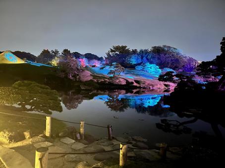 ライトアップした庭園 ライトアップした庭園 水前寺成趣園,水前寺公園,庭園の写真素材