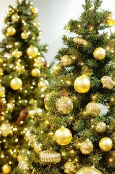 クリスマス クリスマス,クリスマスツリー,もみの木の写真素材