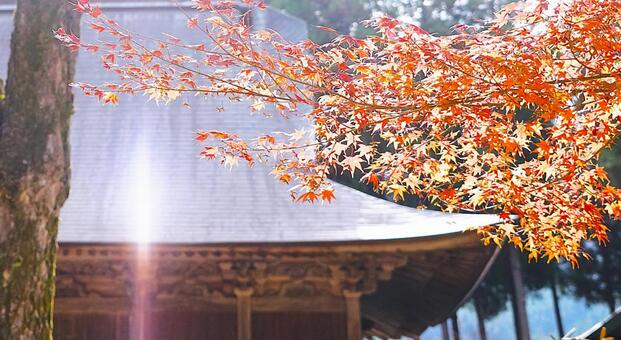 神社