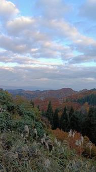 魚沼スカイラインの紅葉 紅葉,秋,11月の写真素材