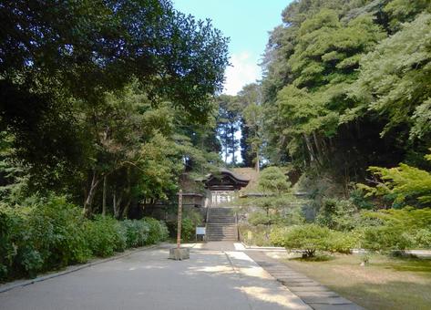 月照寺 松江 月照寺 松江の写真