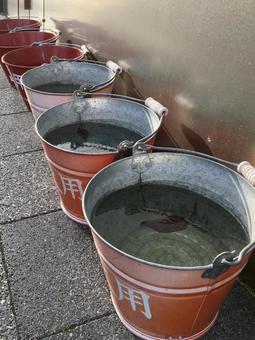 Winter Bucket, JPG Winter Bucket, JPG