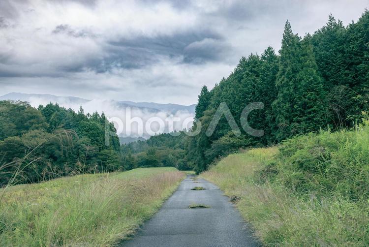 雨が降りそうな田舎の空模様 草,雨,雨雲の写真素材