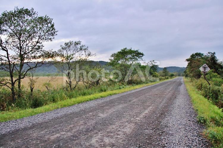 釧路湿原の道路（北海道） 道路,砂利道,砂利の写真素材