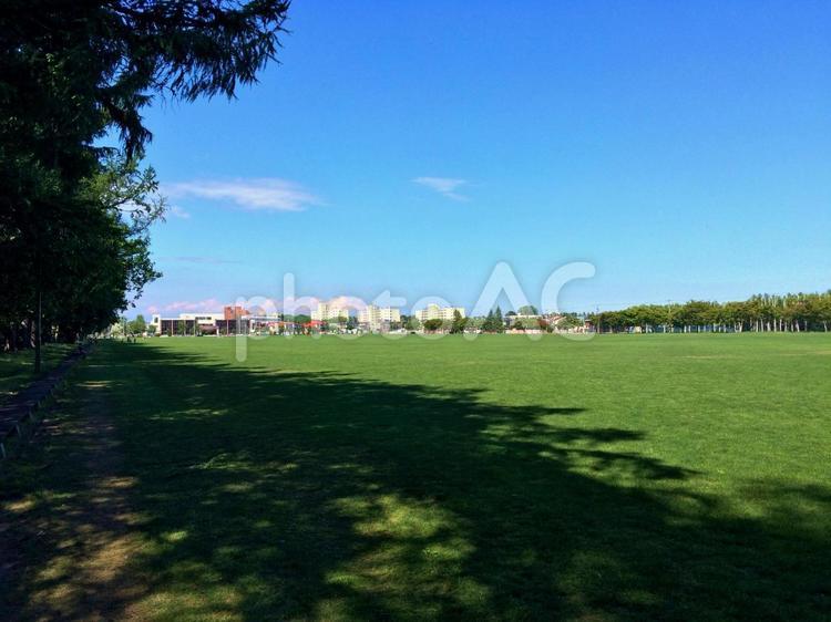 緑の芝生の大きな公園 北海道,青空,快晴の写真素材