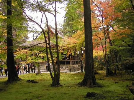 京都　大原の写真