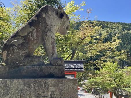 阿吽の虎〜鞍馬寺〜 阿吽の虎〜鞍馬寺〜の写真
