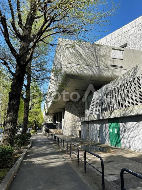 上野恩賜公園　台東区　早朝の公園 上野恩賜公園,上野公園,台東区の写真素材