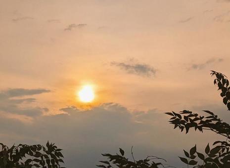 夕日 夕日の写真