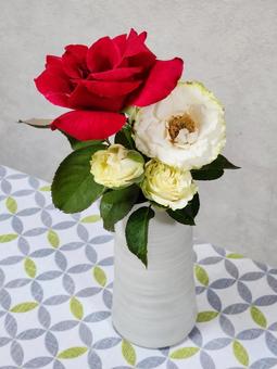 Photo, red and white, white roses, red rose, 