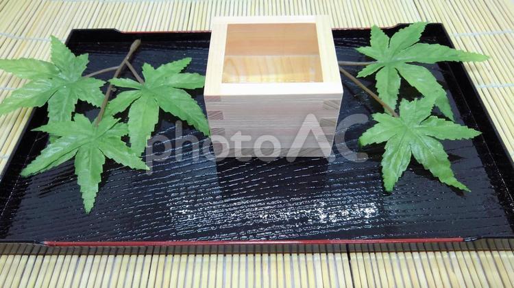枡酒と若葉もみじ１ ます酒,枡酒,升酒の写真素材
