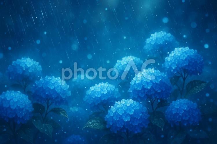 雨に濡れる幻想的な青い紫陽花の風景 紫陽花,アジサイ,花の写真素材