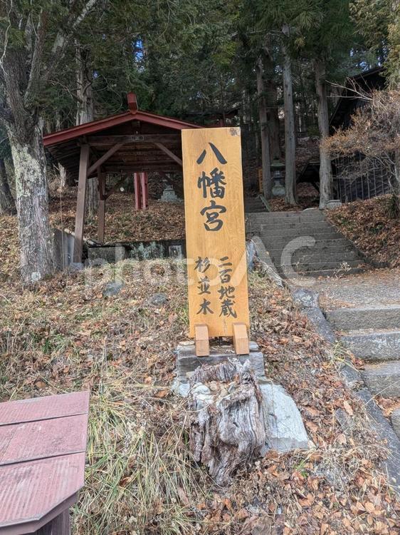 八幡宮 冬,景色,橋の写真素材