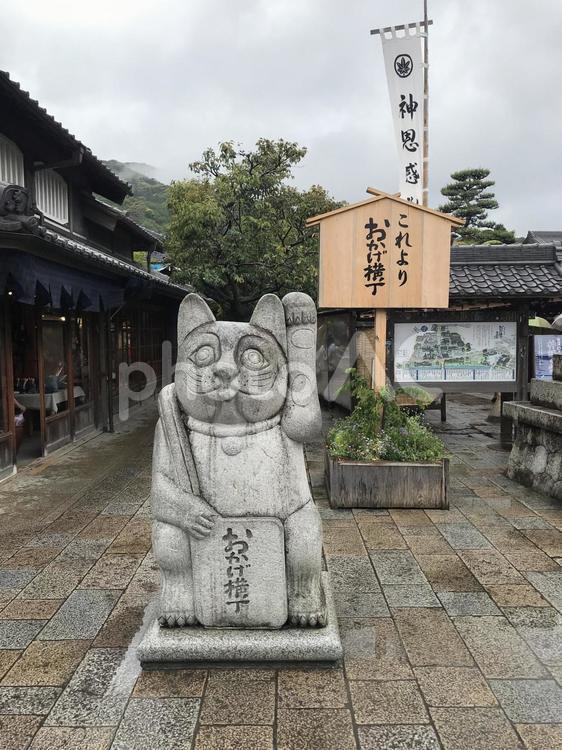 おかげ横丁 おかげ横丁,三重県,伊勢の写真素材
