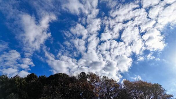 冬のモコモコ雲 雲,空,晴天の写真素材