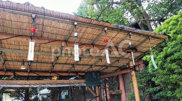 夏の風景 木の小屋,木,ツリーハウスの写真素材