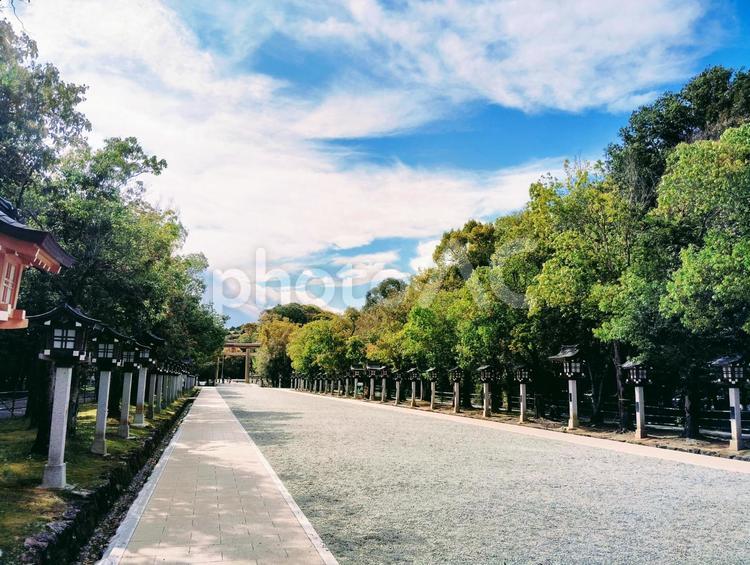 橿原神宮の参道にて 奈良県,橿原神宮,橿原市の写真素材