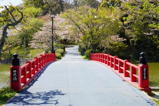 福岡 朝倉 甘木公園 丸山池の赤橋2 福岡 朝倉 甘木公園 丸山池の赤橋2の写真